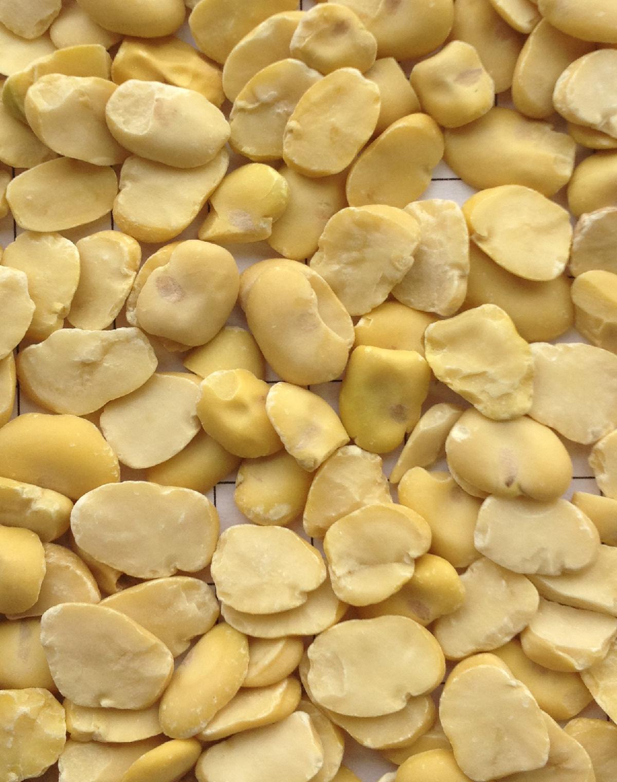 Split broad beans thumbnail 3